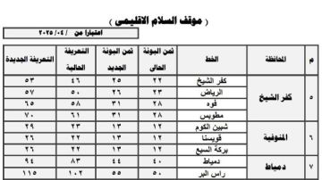 بعد ارتفاع البنزين.. تعرف على أسعار تعريفة الركوب الجديدة بمحافظة القاهرة