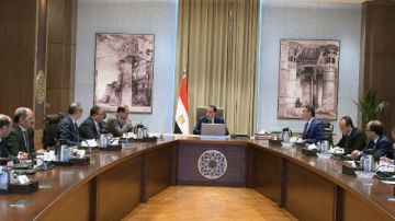 الحكومة: صرف مستحقات توريد القمح خلال 48 ساعة من تاريخ التسليم الحكومة: صرف مستحقات توريد القمح خلال 48 ساعة من تاريخ التسليم