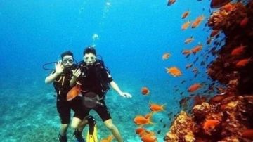 185رحلة طيران إلى مطار مرسى علم تنعش الحركة السياحية