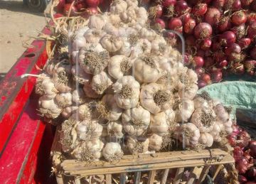 أسعار الفاكهة والخضروات غدا بأسواق دمياط