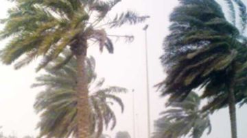 احذر رياح الخماسين.. نصائح ذهبية لمرضى الصدر والحساسية للحفاظ على صحتك احذر رياح الخماسين.. نصائح ذهبية لمرضى الصدر والحساسية للحفاظ على صحتك