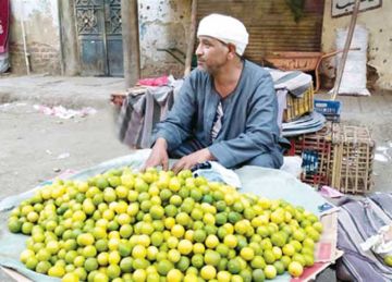  الليمون أغلى من التفاح مرتين .. ارتفاع جنوني في أسعار الأصفر بالمحافظات (تفاصيل)