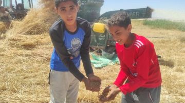 الزراعة بجنوب سيناء: استخراج كارت الفلاح لأراضي تقنين الأوضاع