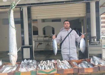 السبيط رخص.. أسعار السمك اليوم في مطروح اليوم الأحد 27 أبريل 2025