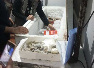 ضبط 1.6 طن أسماك و4400 عبوة عصير وجبن مجهولة المصدر في حملات تفتيشية بالشرقية