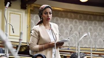 نائبة التنسيقية تشكر الحكومة على تقليل حدة الآثار الاقتصادية نائبة التنسيقية تشكر الحكومة على تقليل حدة الآثار الاقتصادية