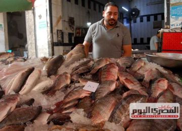 البلطي يبدأ من 90 جنيها.. أسعار السمك والمأكولات البحرية في أسواق الإسكندرية اليوم السبت 19 أبريل 2025