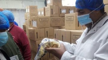 بيطرى الشرقية: ضبط 2 طن أسماك مجمدة ولحوم ودواجن