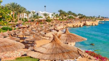 صحية ومستدامة.. أهم 5 معلومات عن مشروع شرم الشيخ مدينة خضراء صحية ومستدامة.. أهم 5 معلومات عن مشروع شرم الشيخ مدينة خضراء