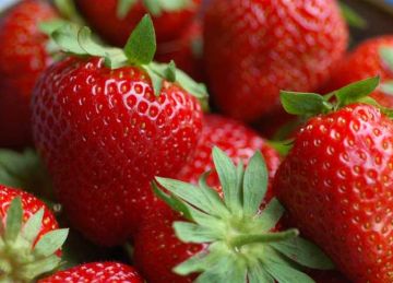 بعد انخفاض الكيلو لـ20 جنيها.. طرق تخزين الفراولة في الفريزر طوال العام