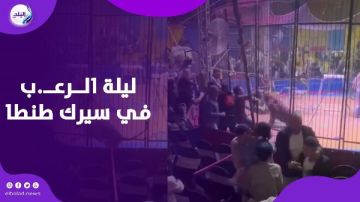 الأسود كانت جعانة .. أسرار جديدة في واقعة سيرك طنطا