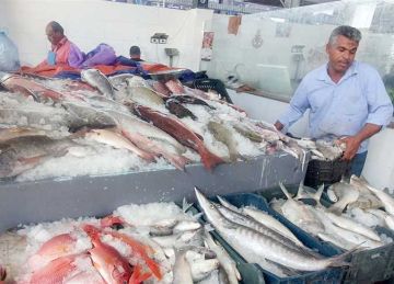 اليوم.. بدء وقف الصيد في البحر الأحمر لمدة 3 أشهر.. وصيادون يطالبون بتأجيل التنفيذ