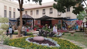 بمشاركة 160 عارضا.. الزراعة: إقبال كبير من المواطنين على معرض الزهور