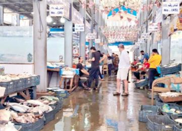 الكابوريا بـ230 .. أسعار السمك والمأكولات البحرية في أسواق الإسكندرية اليوم الخميس 24 أبريل الكابوريا بـ230 .. أسعار السمك والمأكولات البحرية في أسواق الإسكندرية اليوم الخميس 24 أبريل