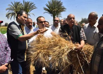 مفاوضات بين الوزارة و مستقبل مصر لاستيراد 1.5 مليون طن قمح لصالح السلع التموينية مفاوضات بين الوزارة و مستقبل مصر لاستيراد 1.5 مليون طن قمح لصالح السلع التموينية