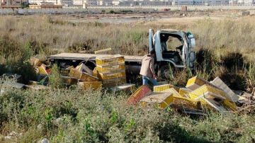 إصابة 3 أشخاص في انقلاب سيارة نصف نقل بالدقهلية