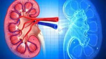 انتبه.. هذه أعراض التهاب الكلى.. وتحذير خطير من إهمال العلاج