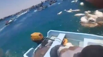 غرق سفينة في خليج عدن تحمل آلاف الأغنام.. شاهد