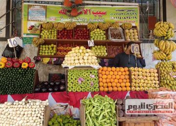 الناس بقت تشتري بالربع كيلو .. تجار الخضار يوضحون أسباب ارتفاع الأسعار الناس بقت تشتري بالربع كيلو .. تجار الخضار يوضحون أسباب ارتفاع الأسعار