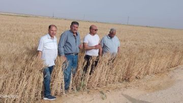 تزامنا مع العيد القومي لسيناء.. مركز بحوث الصحراء يواصل دعم المزارعين ميدانيا