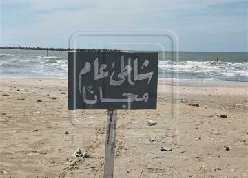 حملات نظافة مكثفة وتحرك طلاب الخدمة العامة.. خطة محافظة دمياط لاستقبال استعدادا لشم النسيم حملات نظافة مكثفة وتحرك طلاب الخدمة العامة.. خطة محافظة دمياط لاستقبال استعدادا لشم النسيم