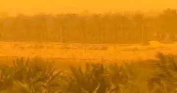 عواصف ترابية تضرب واحة سيوة والصحراء الغربية وانخفاض الرؤية