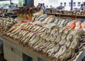 بسبب زيادة أسعار الوقود.. 25 ارتفاعا في أسعار الأسماك بالإسكندرية (صور)