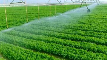 مشروعات عملاقة فى الصحراء.. مستقبل مصر يقود الدولة إلى نهضة زراعية جديدة