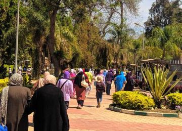 توافد المواطنين على حدائق ومنتزهات القناطر الخيرية للاحتفال بشم النسيم