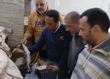 ضبط 14 طن أسماك ورنجة وفسيخ ولحوم ودجاج مخالفة للمواصفات في الدقهلية