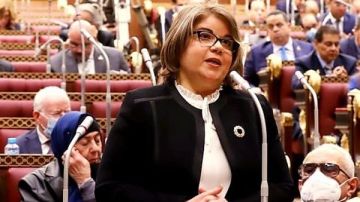 وكيل الشيوخ: تحقيق الأمن الغذائي يتطلب سياسات شاملة تحافظ على الأراضي الزراعية