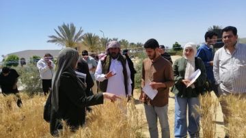 نهضة زراعية وتنموية متكاملة في سيناء.. تعاون دولي لتعزيز التنمية المستدامة بـ أرض الفيروز