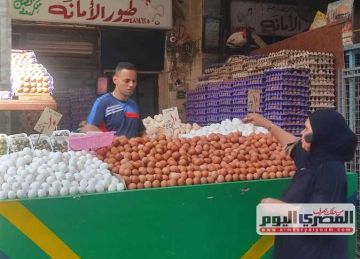 هل تواصل أسعار البيض انخفاضها؟ رئيس شعبة الدواجن يجيب (تفاصيل) هل تواصل أسعار البيض انخفاضها؟ رئيس شعبة الدواجن يجيب (تفاصيل)
