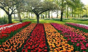 وزير الزراعة يفتتح السبت المقبل معرض زهور الربيع