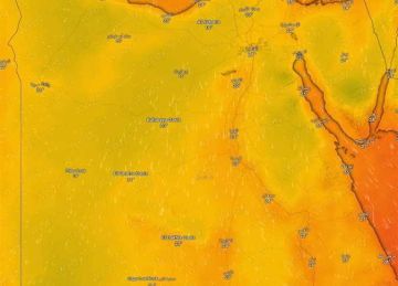 32 جامعة تعلن تعطيل الدراسة لسوء الأحوال الجوية اليوم .. و3 مستمرة 32 جامعة تعلن تعطيل الدراسة لسوء الأحوال الجوية اليوم .. و3 مستمرة