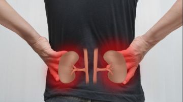 9 عادات شائعة تضر الكلى.. احذر من ارتكابها 9 عادات شائعة تضر الكلى.. احذر من ارتكابها