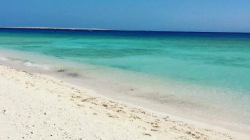 تأجيل أولى جلسات محاكمة مسؤولي سفينة غرقت بالقصير