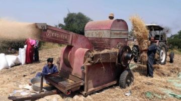 مصرع عامل زراعي سقط داخل دراسة قمح بالشرقية
