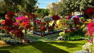 معرض زهور الربيع 2025.. ألوان الطبيعة وأعياد شم النسيم تزين المتحف الزراعي