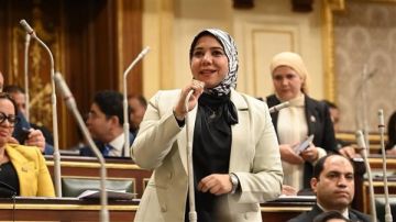 نائبة التنسيقية: قانون الثروة المعدنية يحافظ على الثروات الطبيعية للأجيال القادمة نائبة التنسيقية: قانون الثروة المعدنية يحافظ على الثروات الطبيعية للأجيال القادمة