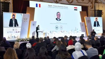 7 مليارات دولار حجم الاستثمارات الفرنسية في مصر