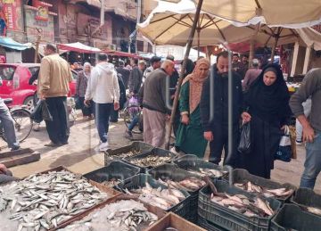 أسعار الأسماك اليوم الثلاثاء 15 أبريل 2025 بدمياط أسعار الأسماك اليوم الثلاثاء 15 أبريل 2025 بدمياط