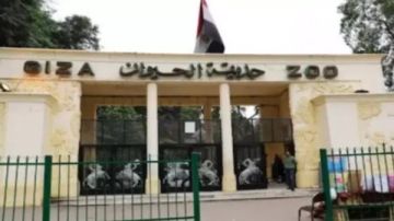 خلال وقت صغير.. موعد فتح حديقة الحيوان بالجيزة 2025