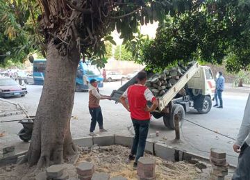  زراعة الأشجار وتجديد الأرصفة والبالوعات .. السيدة زينب تتجمل لاستقبال الوفد الرئاسي الفرنسي