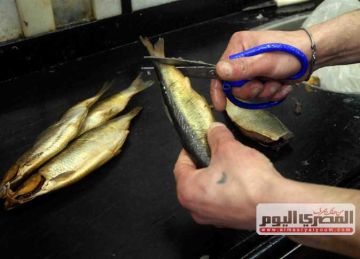 خبيرة تغذية: تناول الرنجة مفيد لصحة الإنسان (تفاصيل)