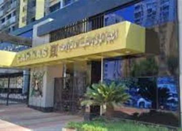  الإحصاء : 80 من العلامات التجارية الجديدة عام 2024 للمصريين