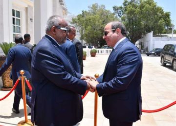 الرئيس السيسي يلتقي نظيره الجيبوتي ويبحثان الأوضاع في السودان وفلسطين