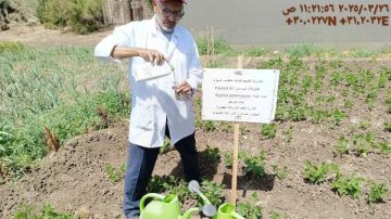 حصاد جهود متواصلة.. البحوث الزراعية تخدم المواطنين في أيام العيد حصاد جهود متواصلة.. البحوث الزراعية تخدم المواطنين في أيام العيد