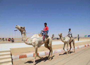 محافظ الوادي الجديد يشهد ختام سباق بغداد للهجن والفروسية