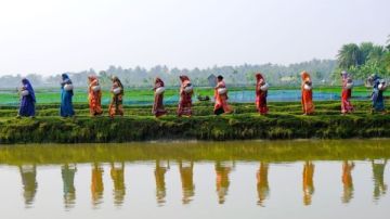 الصدمات المناخية وتقلبات العملات تزيد أعباء ديون الدول الفقيرة.. استنزاف صامت للاقتصاد الصدمات المناخية وتقلبات العملات تزيد أعباء ديون الدول الفقيرة.. استنزاف صامت للاقتصاد